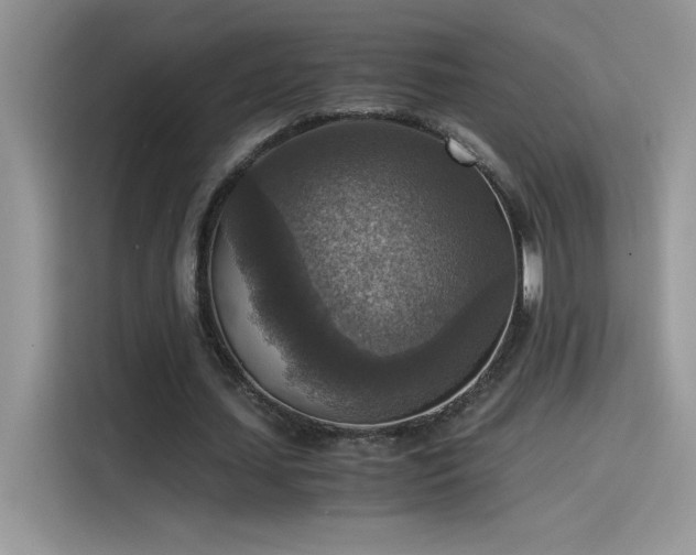 X0000115510627200911131341