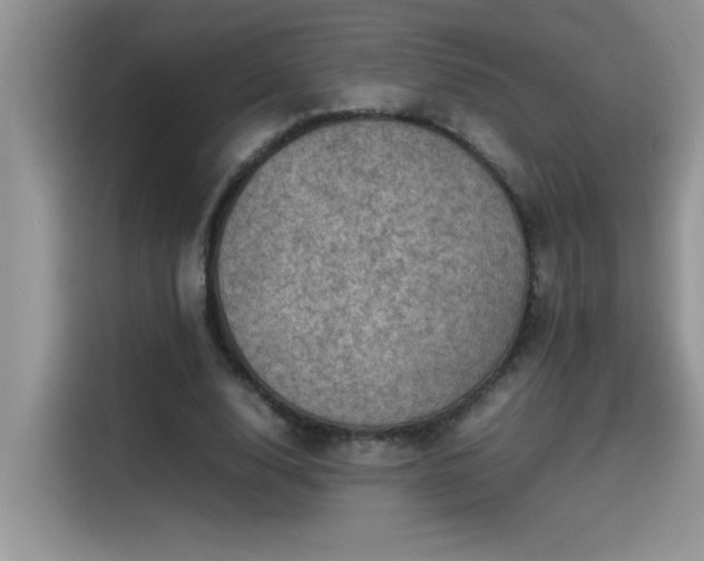 X0000115510632200911131341