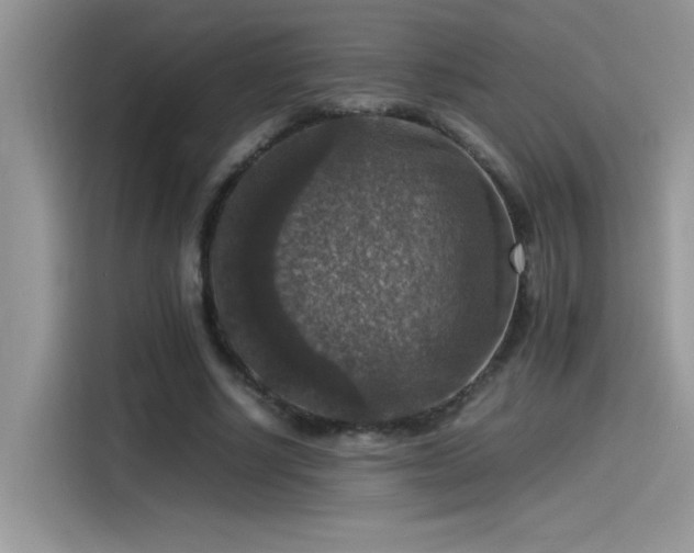 X0000115510634200911131341