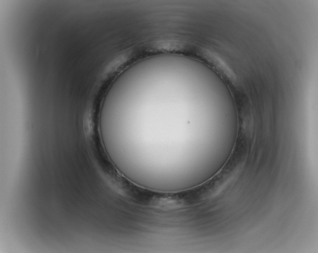 X0000115510635200911131342