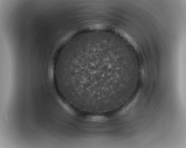 X0000115510637200911131342