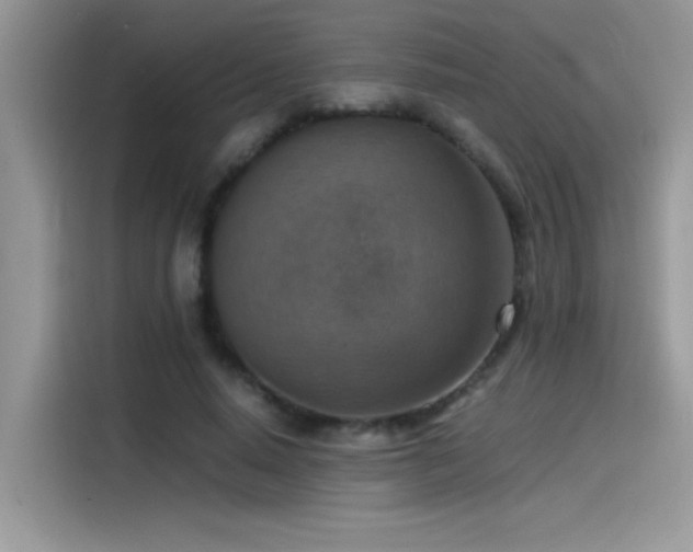 X0000115510640200911131342