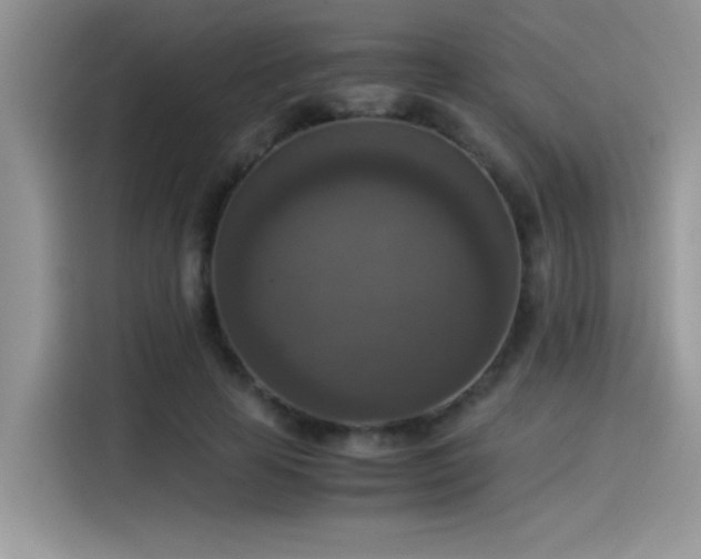 X0000115510641200911131342