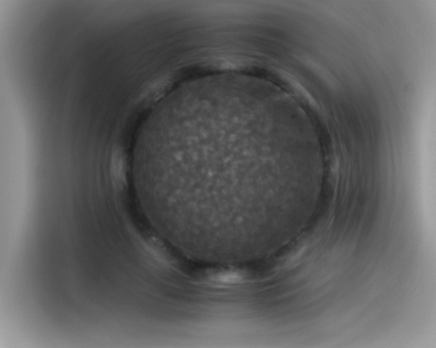 X0000115510643200911131342