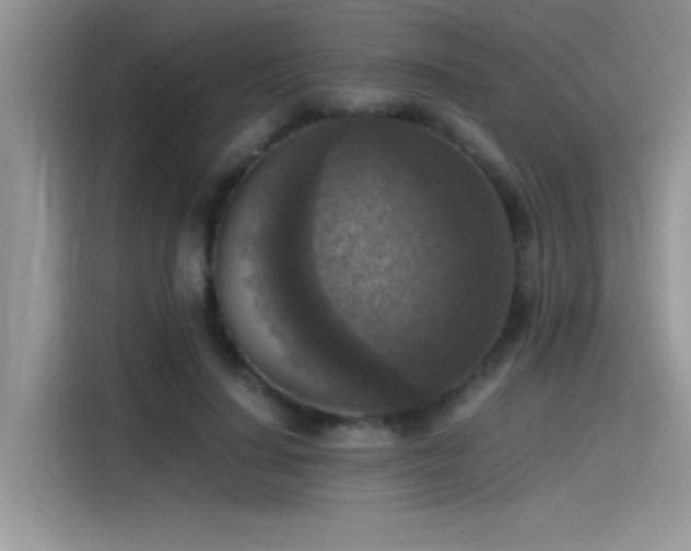 X0000115510644200911131342