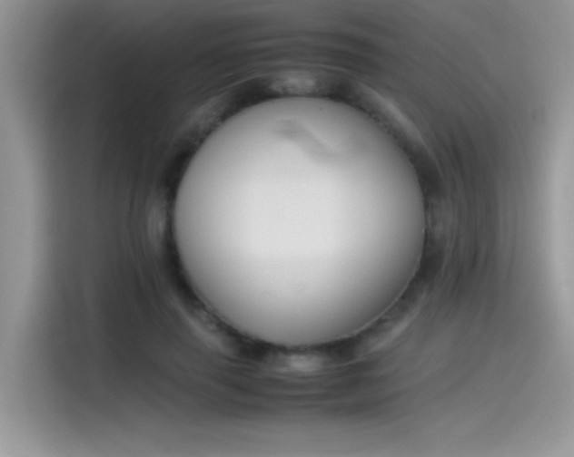 X0000115510645200911131342