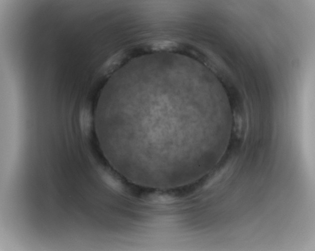 X0000115510648200911131342