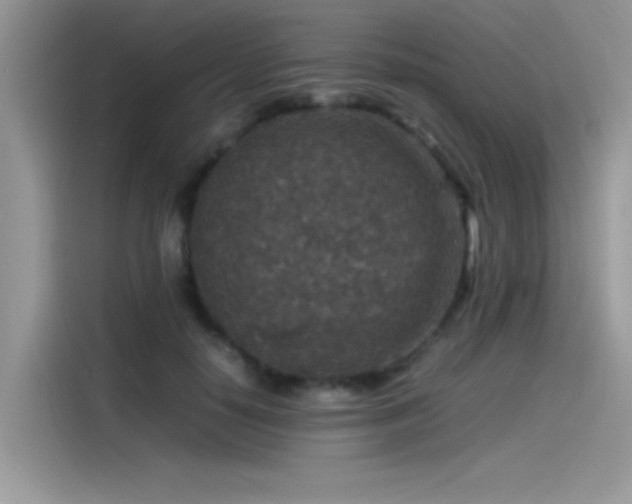 X0000115510650200911131342