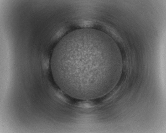 X0000115510652200911131342