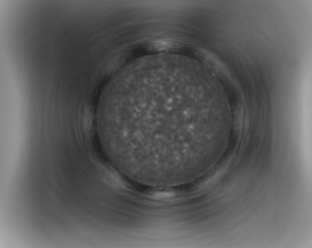 X0000115510653200911131342