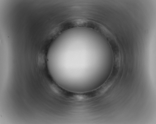 X0000115510654200911131342