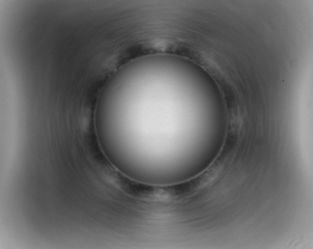 X0000115510656200911131342