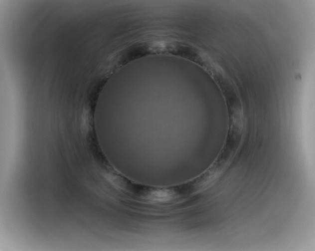 X0000115510659200911131342