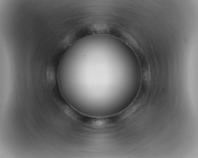 X0000115510662200911131342