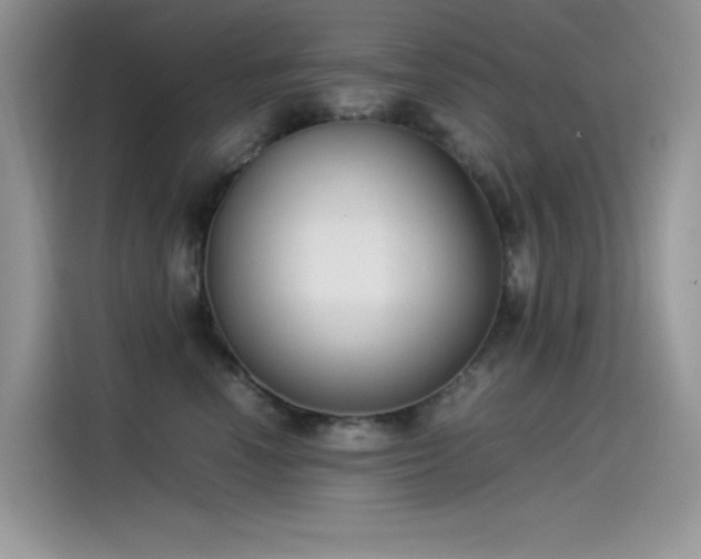 X0000115510666200911131342