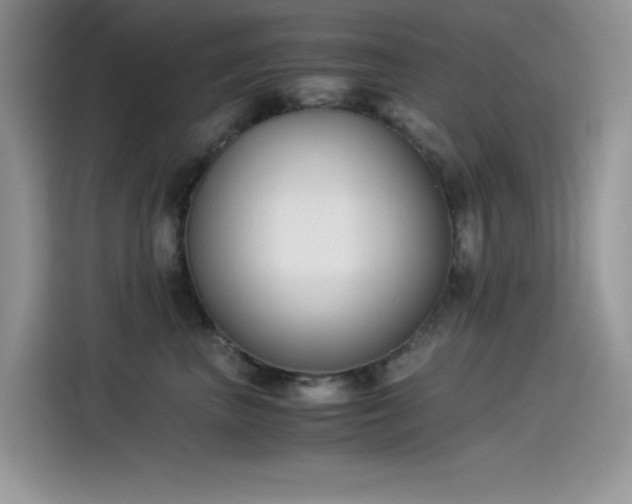 X0000115510667200911131342