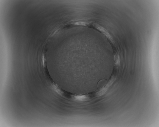 X0000115510669200911131342