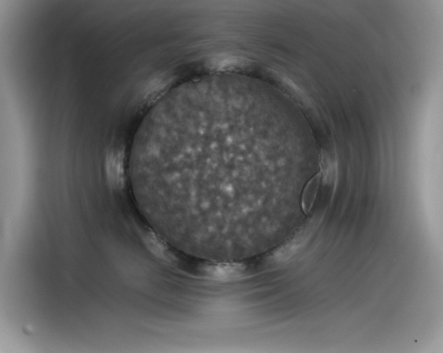 X0000115510670200911131342