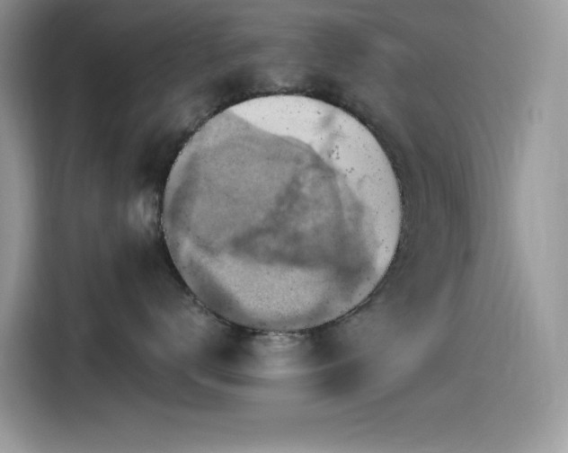 X0000115510672200911131342