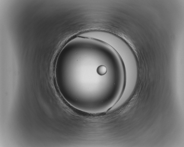 X0000115510673200911131341