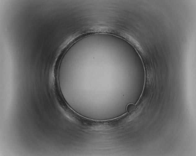 X0000115510674200911131341