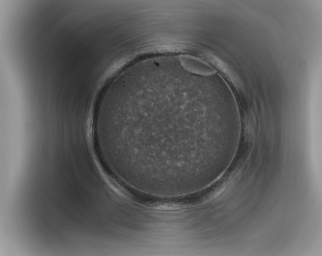 X0000115510677200911131341