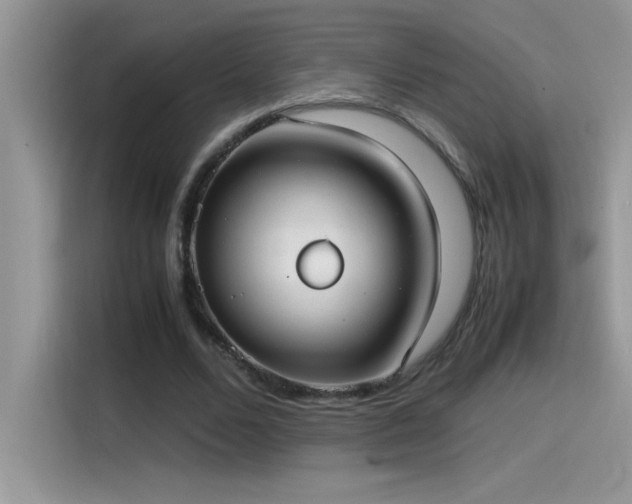 X0000115510680200911131341