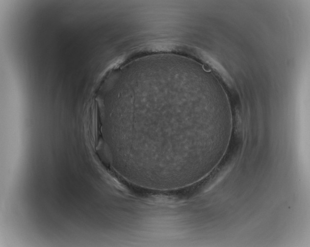 X0000115510681200911131341