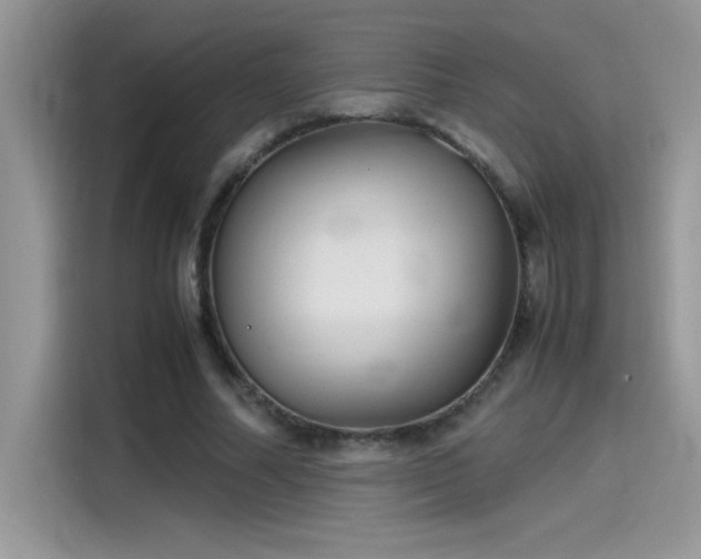 X0000115510682200911131341