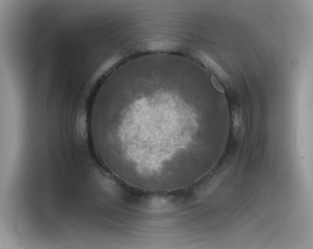 X0000115510684200911131341