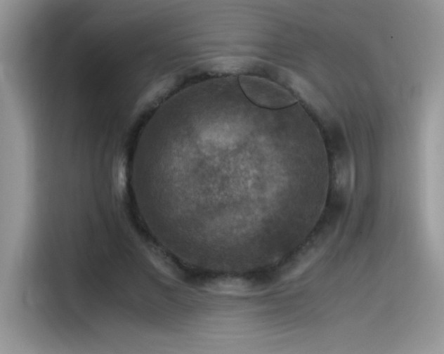 X0000115510685200911131341