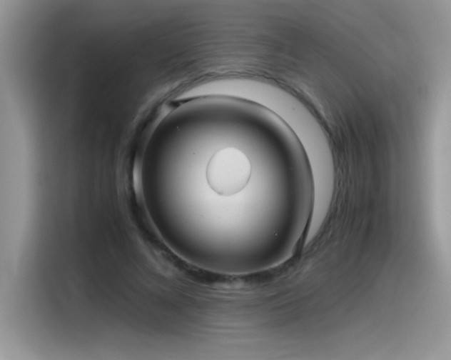 X0000115510688200911131341