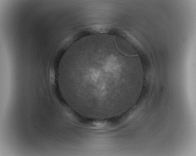 X0000115510693200911131341