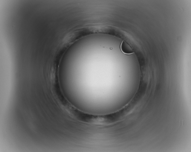 X0000115510695200911131341