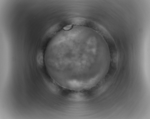 X0000115510696200911131341