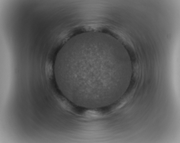 X0000115510699200911131341