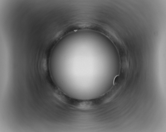 X0000115510700200911131341