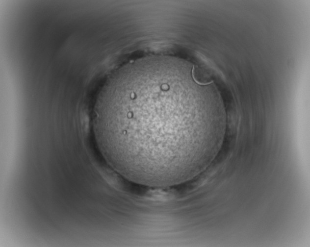 X0000115510703200911131341