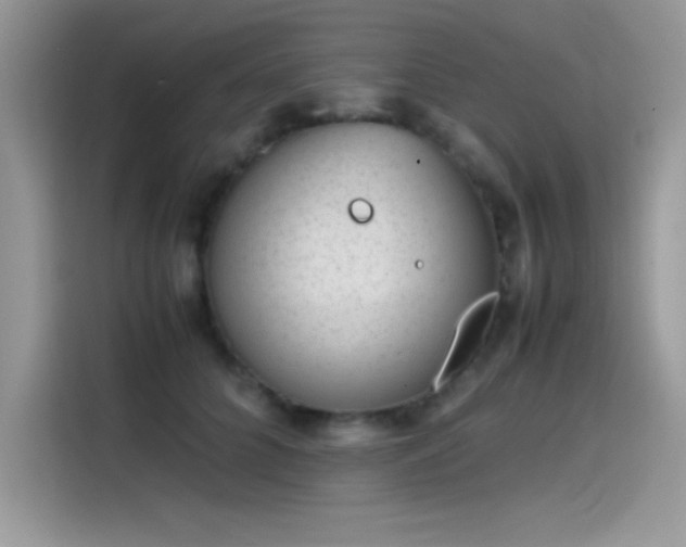 X0000115510704200911131341