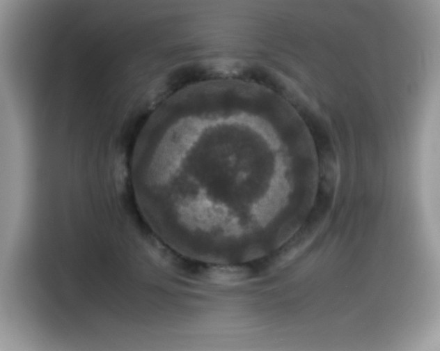 X0000115510707200911131341