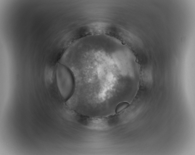 X0000115510709200911131341