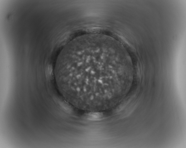 X0000115510711200911131341