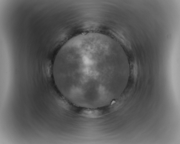 X0000115510712200911131341