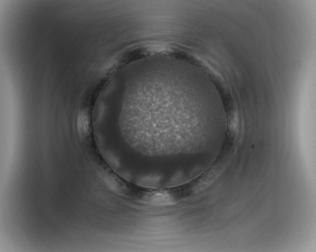 X0000115510715200911131341