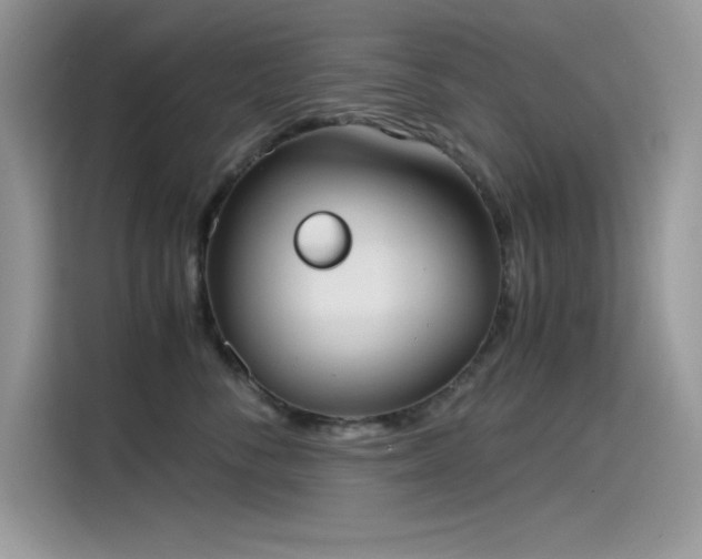 X0000115510716200911131341