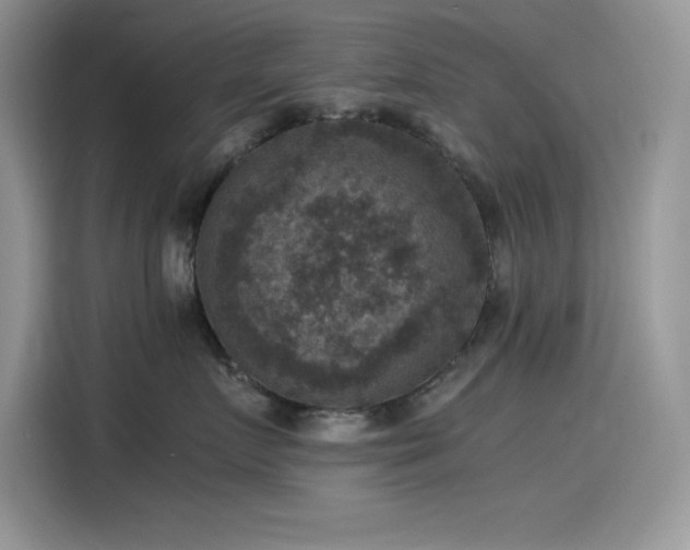 X0000115510719200911131341