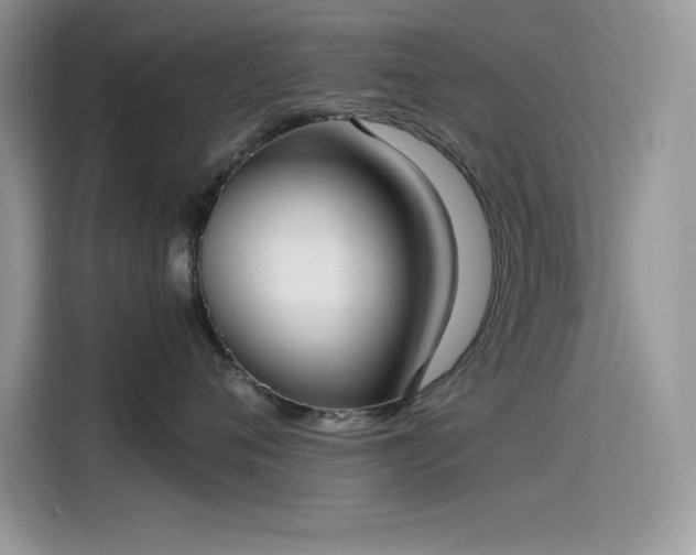 X0000115510720200911131341