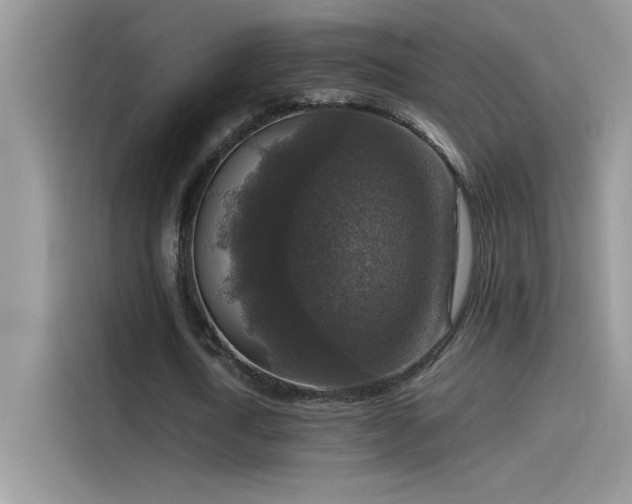 X0000115510722200911131340