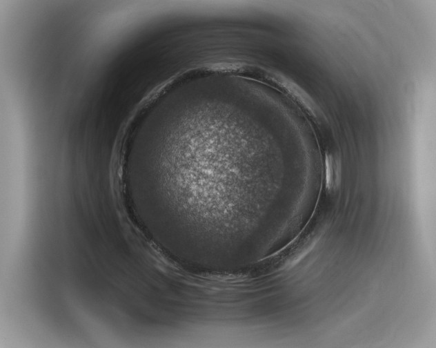 X0000115510723200911131340