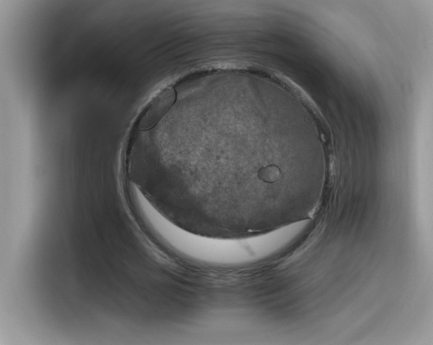 X0000115510725200911131340